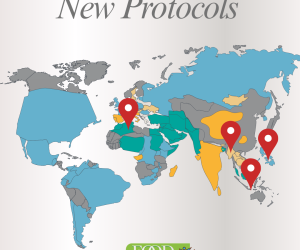 New Protocols 